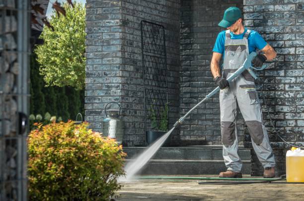 Best Gutter Cleaning  in Jasmine Estates, FL