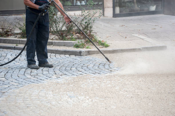 Best Dumpster Area Cleaning  in Jasmine Estates, FL