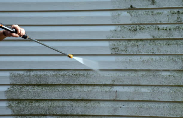 Best Sidewalk and Walkway Cleaning  in Jasmine Estates, FL